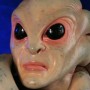 Kit Fisto (studio)