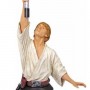 Luke Skywalker Farm Boy (studio)