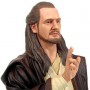 Star Wars: Qui-Gon Jinn