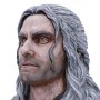 Witcher TV Series: Geralt Of Rivia