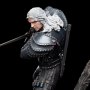 Witcher TV Series: Geralt Of Rivia Fandom