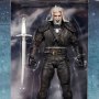 Geralt Of Rivia Kikimora Battle