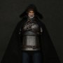 Geralt Of Rivia (White Wolf)