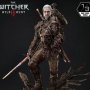 Geralt Von Rivia Battle Damage