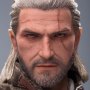 Geralt Of Rivia (White Wolf)