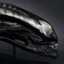 Giger’s Alien Head