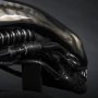 Giger’s Alien Head