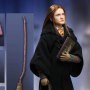 Harry Potter: Ginny Weasley