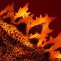 Godzilla Burning