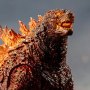 Godzilla Burning