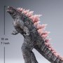 Godzilla Evolved