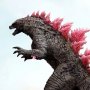 Godzilla Evolved