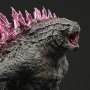 Godzilla Evolved Form Heat Ray Hall Of Fame