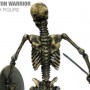 Skeleton Warrior (studio)