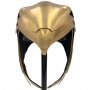 Golden Armor Helmet