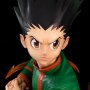 Gon