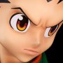 Gon