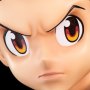 Gon