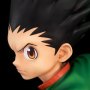 Gon