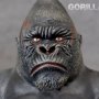 Gorilla Silverback