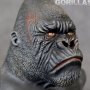 Gorilla Silverback