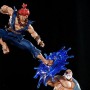 Gouken Vs. Akuma
