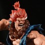 Gouken Vs. Akuma