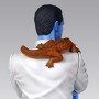 Grand Admiral Thrawn (studio)