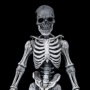 Graveyard Skeletons 4-PACK
