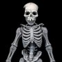Graveyard Skeletons 4-PACK