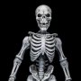 Graveyard Skeletons 4-PACK