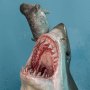 Predators: Great White Shark (Carcharodon Carcharias)