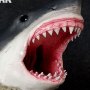Predators: Great White Shark