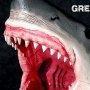 Great White Shark