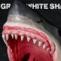 Great White Shark