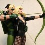 Green Arrow And Black Canary