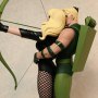 Green Arrow And Black Canary