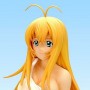 Ikki Tousen: Sonsaku Hakufu Swim Wear Clear