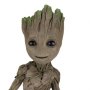 Groot