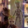 Groot