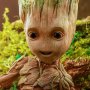 Groot