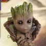 Groot