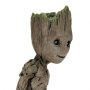 Groot