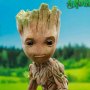 Groot