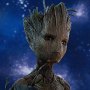 Groot