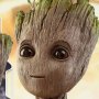 Groot