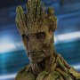 Groot