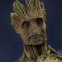 Groot