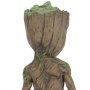 Groot Baby