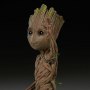 Groot Baby (Sideshow)